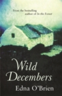 Image for Wild Decembers