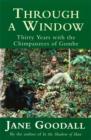Image for Through a window  : thirty years with the chimpanzees of Gombe