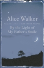 Image for By the light of my father's smile  : a story of requited love, crossing over, and the sexual healing of the soul
