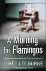 Image for A morning for flamingos