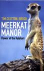 Image for Meerkat manor  : Flower of the Kalahari