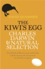 Image for The Kiwi&#39;s Egg