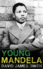 Image for Young Mandela