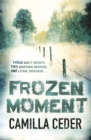 Image for Frozen Moment
