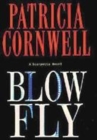Image for BLOW FLY