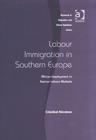 Image for Labour immigration in southern Europe  : African employment in Iberian labour markets