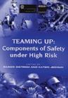 Image for Teaming up, components of safety under risk