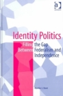 Image for Identity politics  : filling the gap between federalism and independence