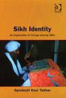 Image for Sikh identity  : an exploration of groups among Sikhs