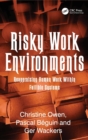 Image for Risky work environments  : reappraising human work within fallible systems