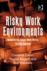 Image for Risky work environments: reappraising human work within fallible systems