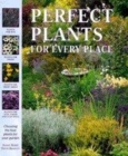 Image for Perfect plants for every place  : choosing the best plants for your garden