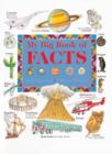 Image for My Big Book of Facts