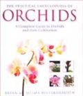 Image for The Practical Encyclopedia of Orchids