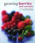Image for Growing berries and currants  : a directory of varieties and how to cultivate them successfully