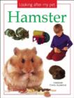 Image for Looking after my pet hamster