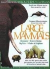 Image for Large mammals  : discover how nature&#39;s most impressive animals live and survive in the wild