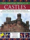 Image for The amazing world of castles