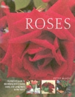 Image for Roses  : a practical guide to identifying and growing roses, and using them in the home