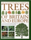 Image for The Illustrated Encyclopedia of Trees of Britain and Europe