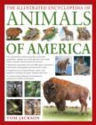 Image for The illustrated encyclopedia of animals of America