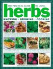 Image for The practical guide to using herbs  : knowing, growing, cooking