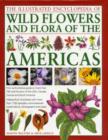Image for The illustrated encyclopedia of wildflowers and flora of the Americas  : an authoritative guide to more than 750 wild flowers of the USA, Canada, Central and South America, beautifully illustrated wi