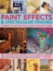 Image for Paint effects &amp; spectacular finishes  : a simple-to-use practical guide for every home