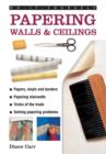 Image for Do-it-yourself Papering Walls &amp; Ceilings