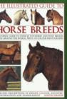 Image for The illustrated guide to horse breeds  : an expert guide to over 80 top horse and pony breeds from around the world, shown in 350 photographs