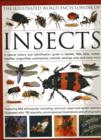 Image for The illustrated world encyclopedia of insects  : a natural history and identification guide to beetles, flies, bees, wasps, mayflies, dragonflies, cockroaches, mantids, earwigs, ants and many more