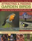 Image for An illustrated practical guide to attracting &amp; feeding garden birds  : the complete book of bird feeders, bird tables, birdbaths, nest boxes and backyard birdwatching