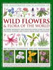 Image for The illustrated encyclopedia of wild flowers & flora of the world  : an expert reference and identification guide to over 1730 wild flowers and plants from every continent