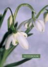 Image for Notebook: Snowdrop