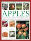 Image for The illustrated world encyclopedia of apples  : a comprehensive identification guide to over 400 varieties accompanied by 90 scrumptious recipes
