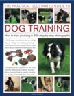 Image for The practical illustrated guide to dog training  : how to train your dog in 330 step-by-step photographs