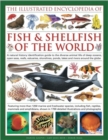 Image for The illustrated encyclopedia of fish &amp; shellfish of the world  : a natural history identification guide to the diverse animal life of deep oceans, open seas, estuaries, shorelines, ponds, lakes and r