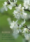 Image for Blossom Large Card Box