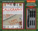 Image for Learn the Art of Calligraphy