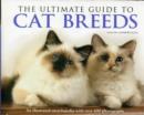 Image for The ultimate guide to cat breeds  : an illustrated encyclopedia with over 600 photographs