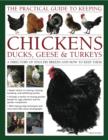 Image for The practical guide to keeping chickens, ducks, geese &amp; turkeys  : a directory of poultry breeds and how to keep them