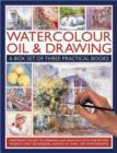 Image for Watercolour, oil &amp; drawing  : a box set of three practical books