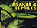 Image for Ultimate Guide to Snakes and Reptiles
