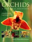 Image for Orchids  : a practical handbook