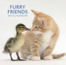 Image for Furry Friends 2013 Calendar