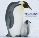 Image for Penguins 2013 Calendar