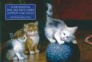 Image for Card Box of 20 Notecards and Envelopes: Kittens and Cats