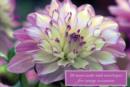 Image for Card Box of 20 Notecards and Envelopes: Dahlia