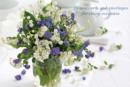 Image for Card Box of 20 Notecards and Envelopes: Forget-me-nots