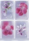 Image for Lined Notebook: Frosted Petal
